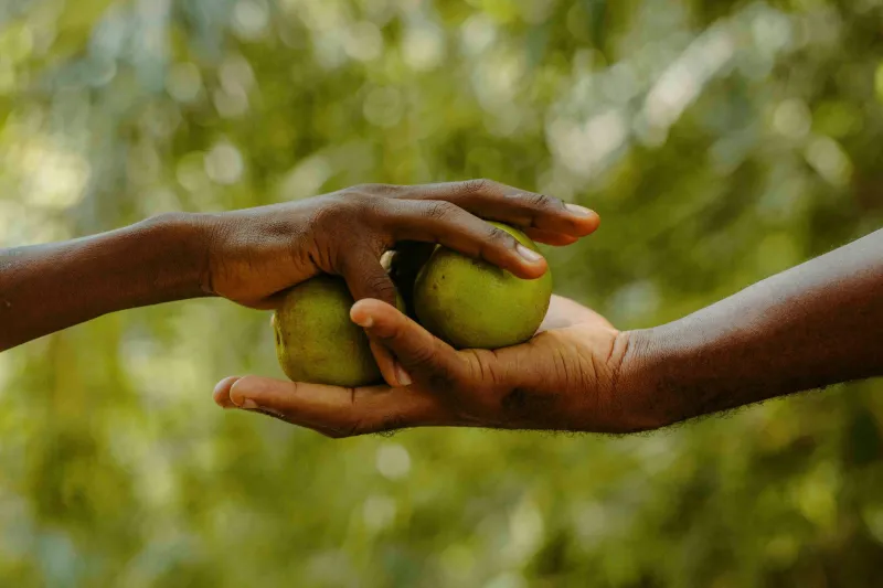 What Happens to Your Brain When You Give: The Science of Generosity and Why It Matters More Than Any Tax Form